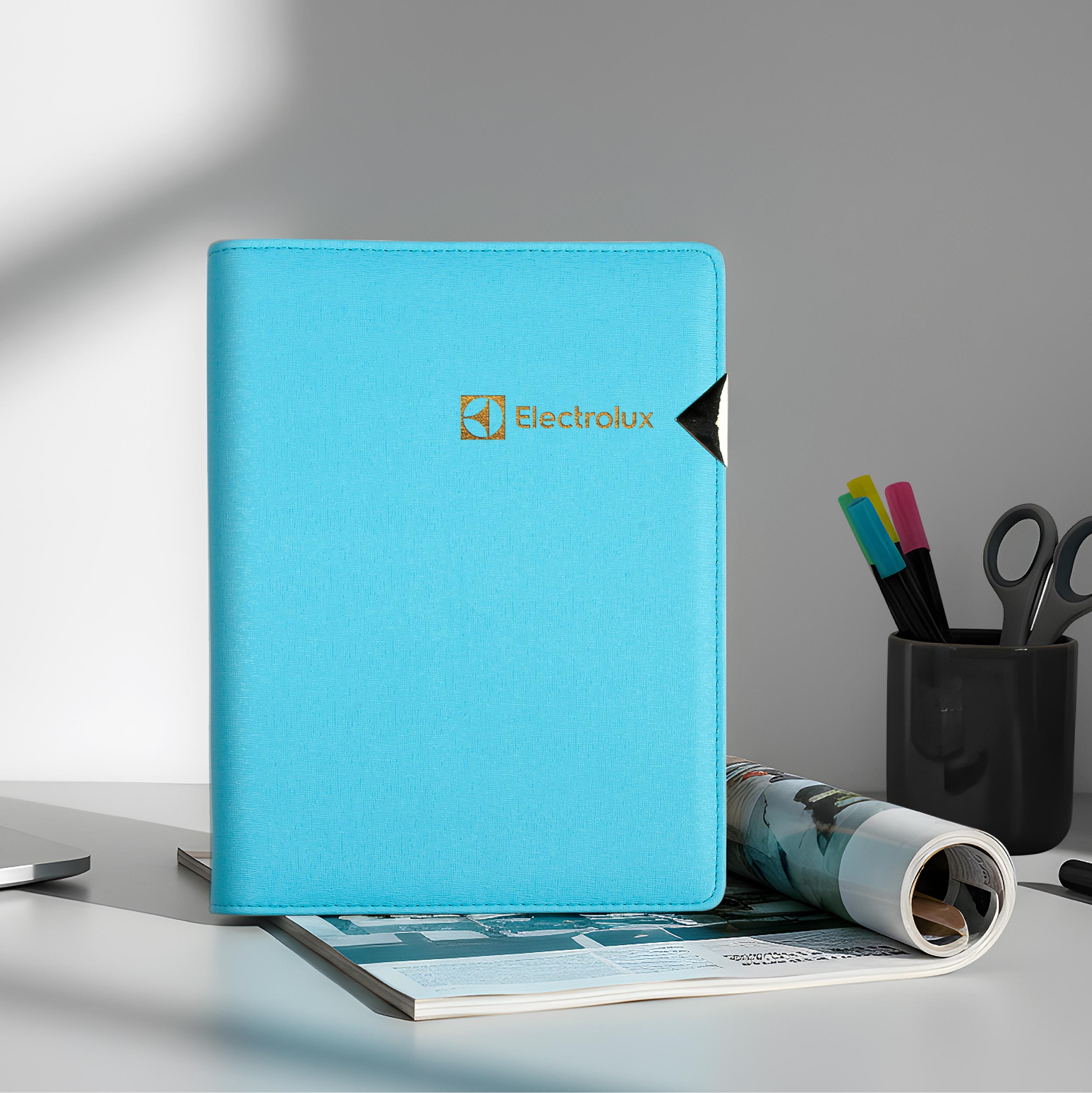 Electrolux 伊萊克斯